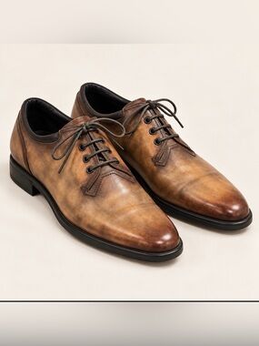 Berluti Paris Brown Patina Leather Derby Shoes 
US 9 / Berluti 8